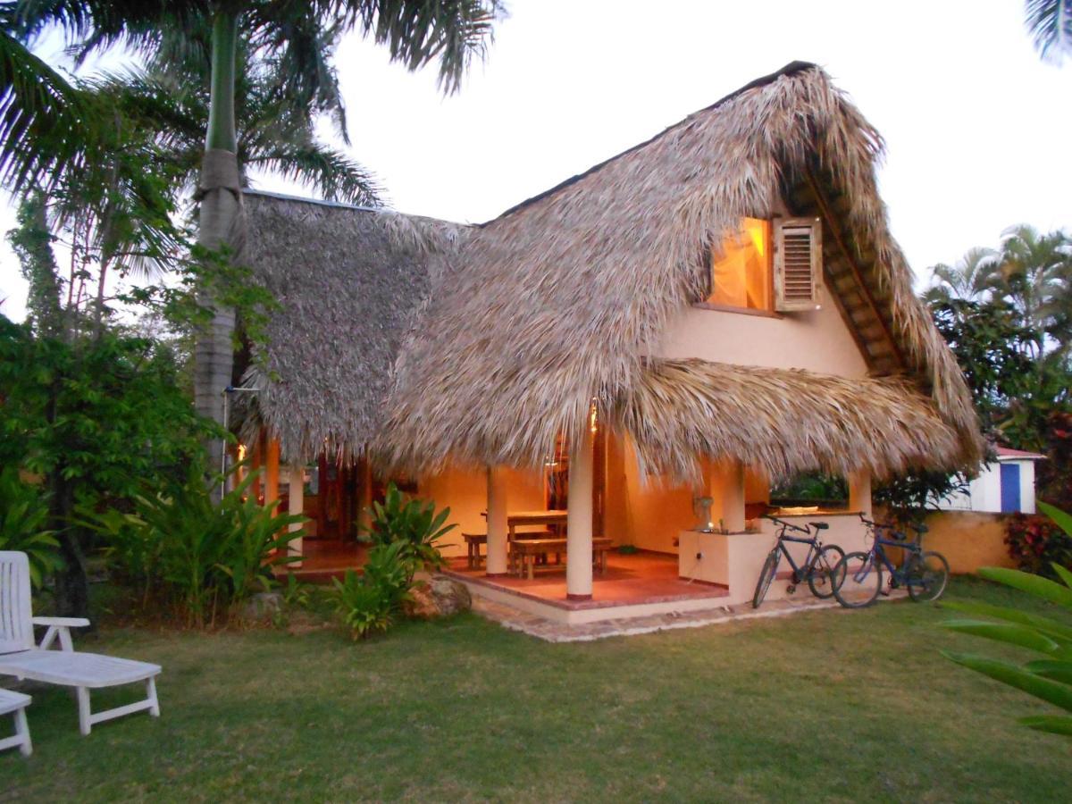 Palm-Covered House In The Tropical -Casa Oli Las Galeras Exterior photo